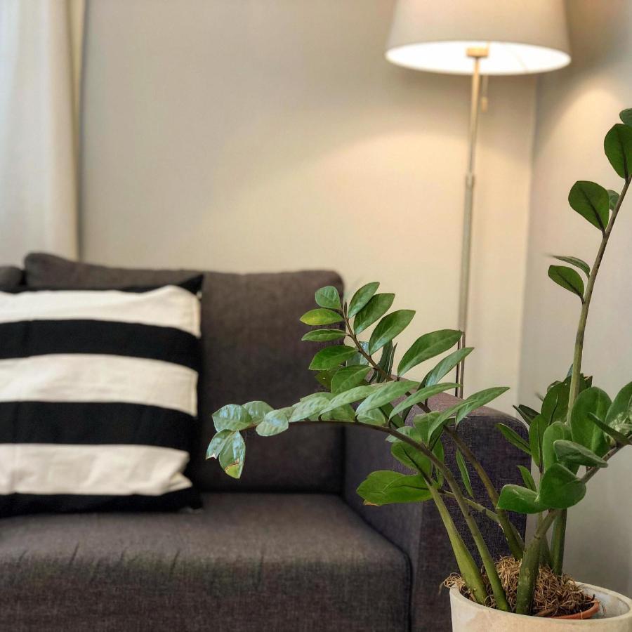 Helianthus Apartment *