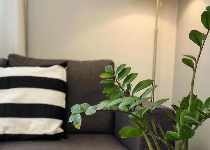 Helianthus Apartments